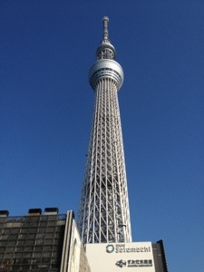 20130113-104841.jpg