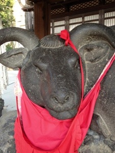 20130113-104922.jpg