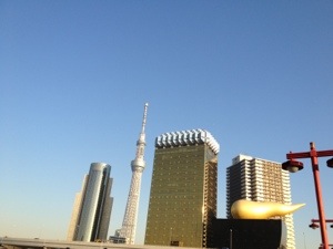 20130113-104948.jpg